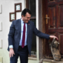 Osmangazi Belediyesi sokak hayvanlarina sahip çikti